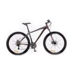 BICICLETA FUTURA RODADO 29" MANTIS GRIS PLOMO
